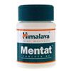 Mentat Mentat